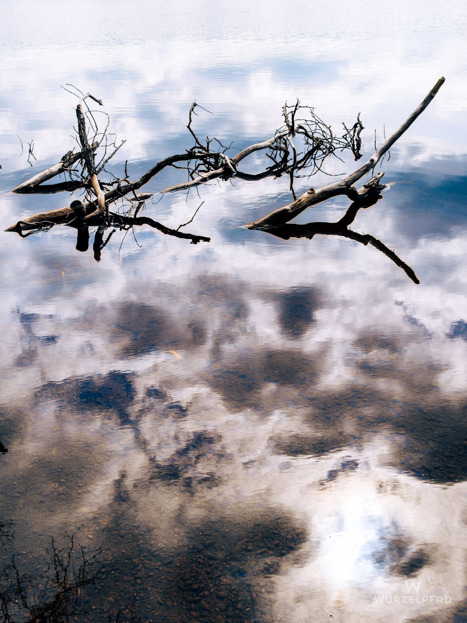 Himmelspiegelung im Kirchsee mit Geäst